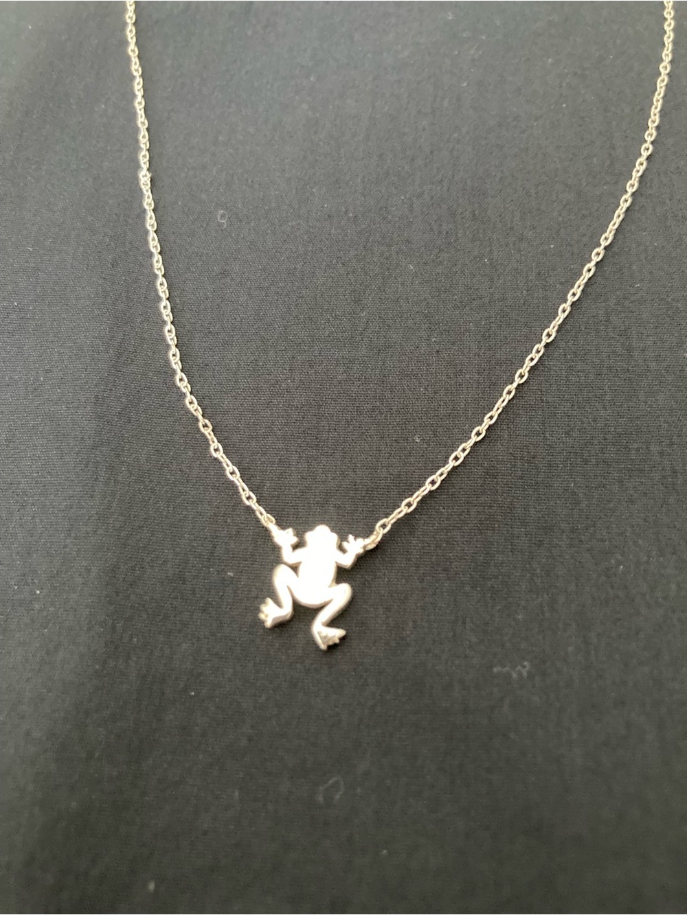 Silver 925 Frog Pendant Necklace - Minimalist Jewelry - 16-18 inches